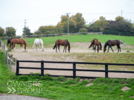 AK021025-89 - Alan King Stable Visit